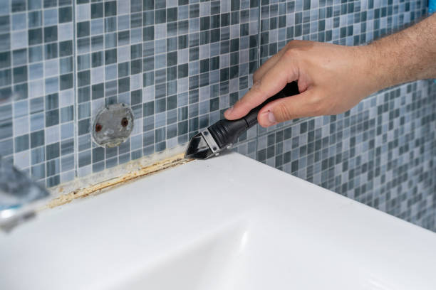 Best Fast Mold Removal  in Jasmine Estates, FL